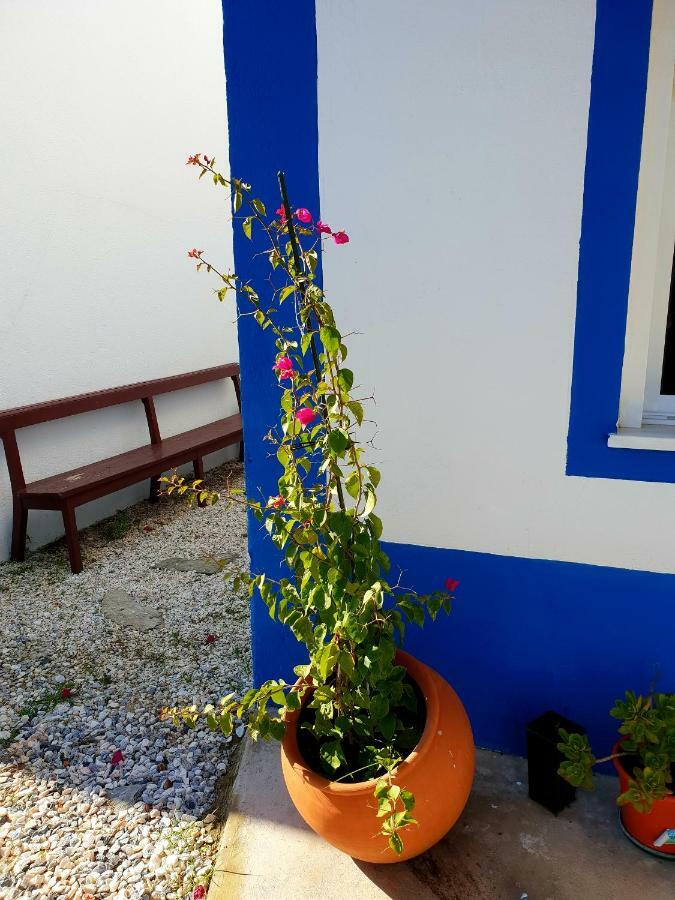 Villa Casa do Avô Tó Reguengos de Monsaraz Exterior foto